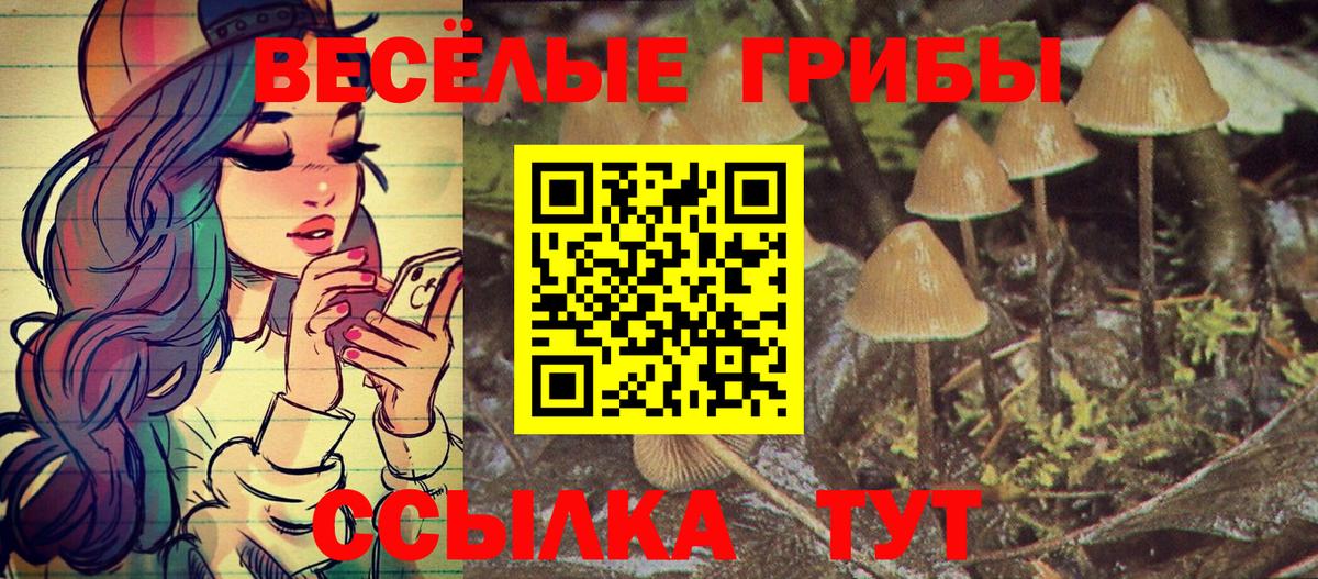 Галлюциногенные грибы прущие грибы Видное