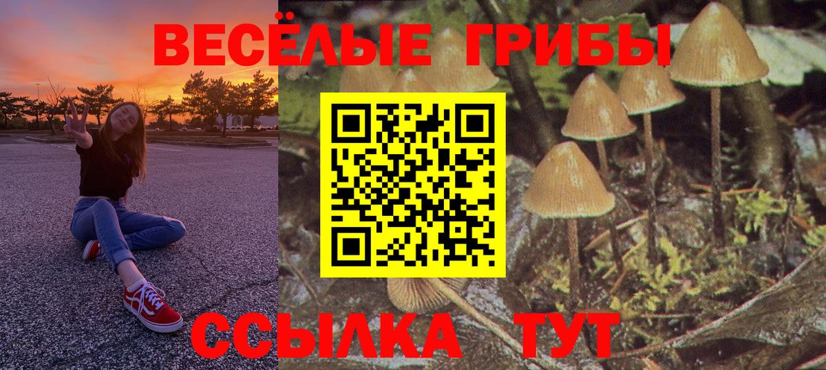 Псилоцибиновые грибы ЛСД  Галлюциногенные грибы мухоморы  Видное  Вход с VPN 